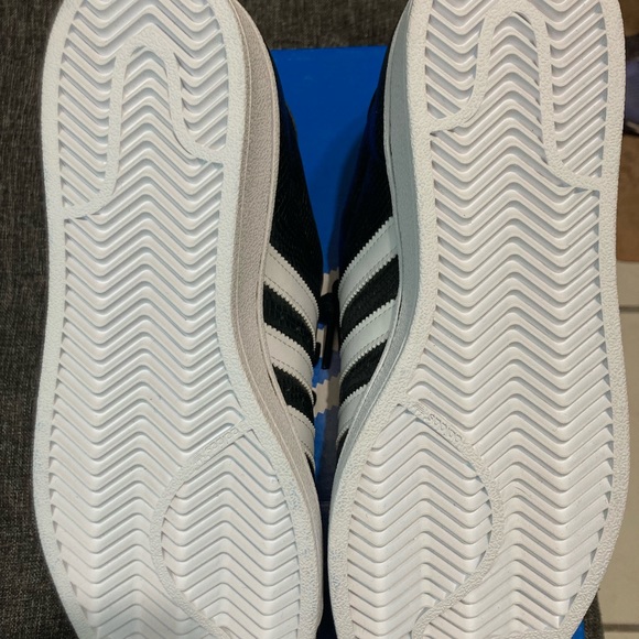 Superstar Reptile 🦎 J - Picture 5 of 5